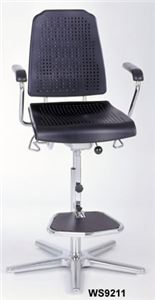 Aklaim Premium Chair